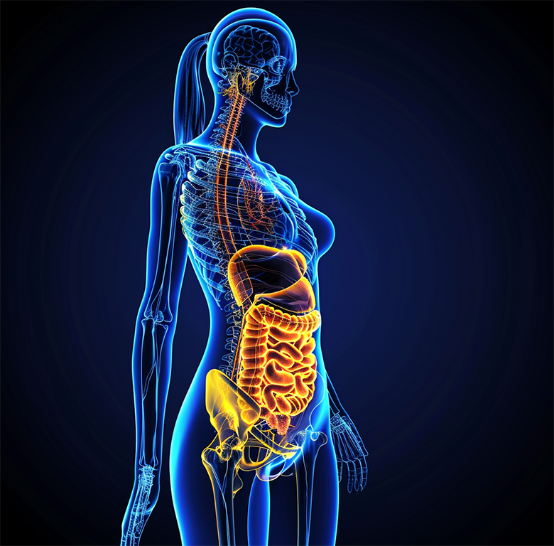 Recupera el control de tu vida. Tratamiento de la colitis para eliminar molestias y distensión. Tu bienestar es nuestra prioridad. Reserva una consulta ahora y da el primer paso hacia una vida sin limitaciones.